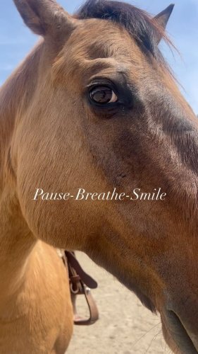 Video post from __amber_lydic__.