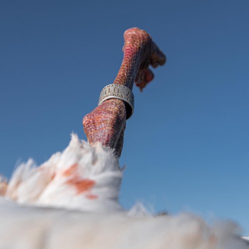 Photo post from northernskiesoutfitters.