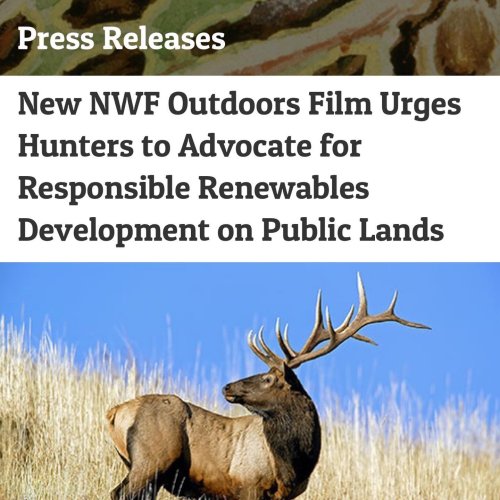 Photo post from nwfoutdoors.