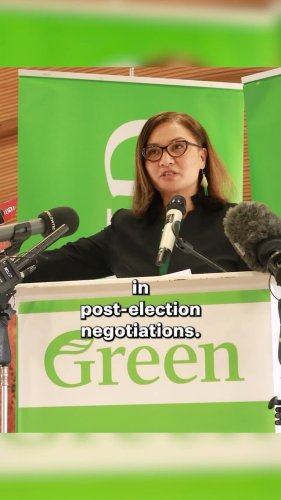 Video post from nzgreenparty.