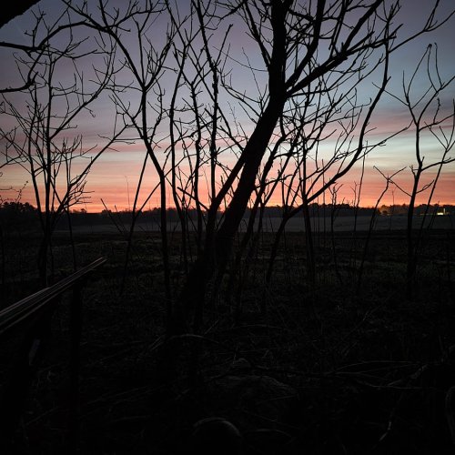 Photo post from reddogguideservice.