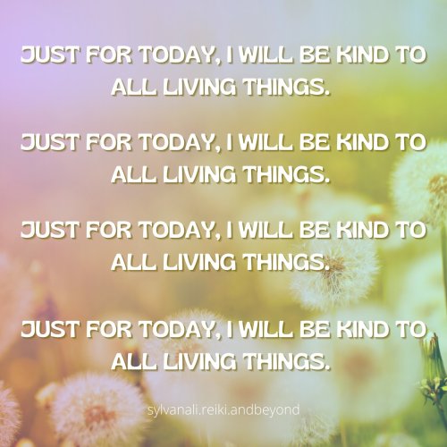 Photo post from sylvanali.reiki.andbeyond.