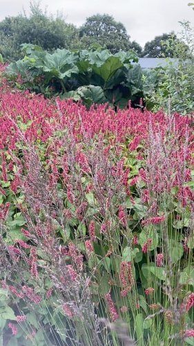 Video post from sussexprairies.