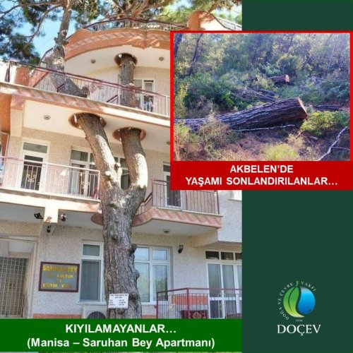 Photo post from dogavecevrevakfi.