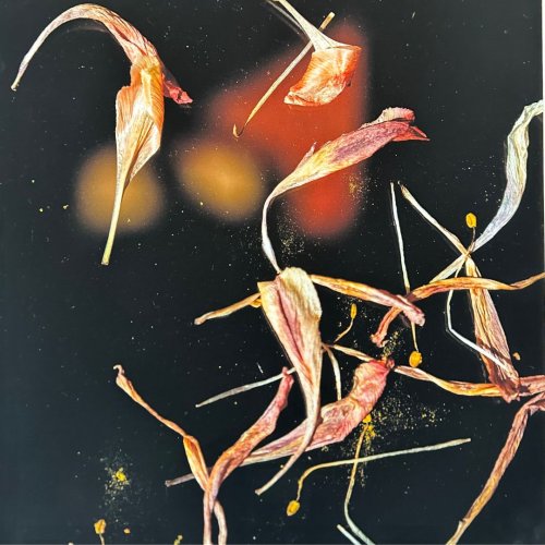 Carousel post from kerrigallery_wpa.