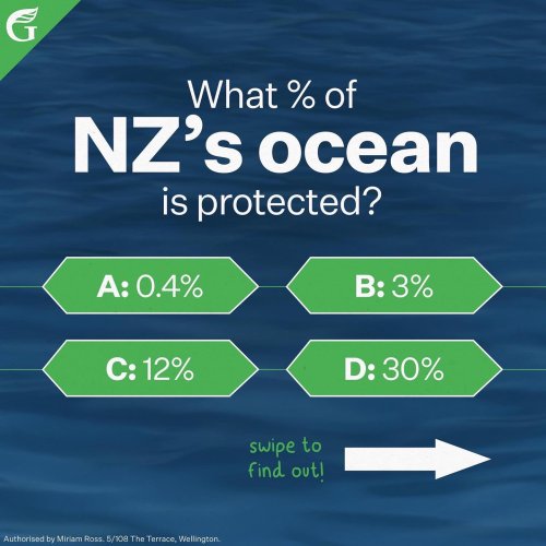 Carousel post from nzgreenparty.