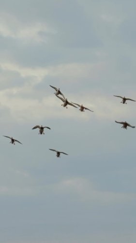 Video post from northernskiesoutfitters.