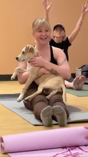 Video post from cacdtc.
