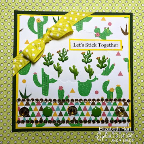 Photo post from Eyelet Outlet.