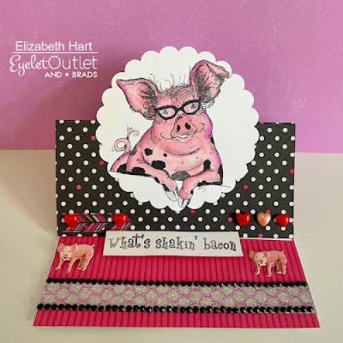 Photo post from Eyelet Outlet.