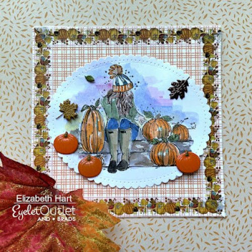 Photo post from Eyelet Outlet.