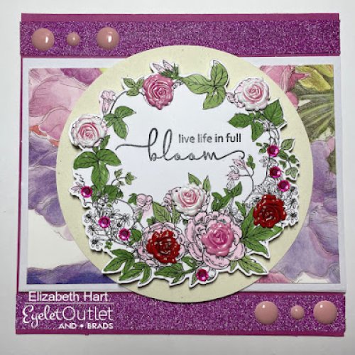 Photo post from Eyelet Outlet.