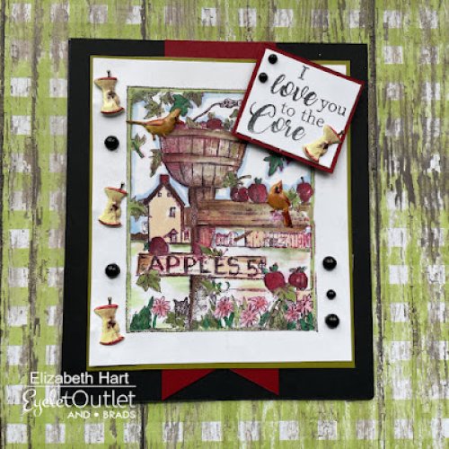 Photo post from Eyelet Outlet.