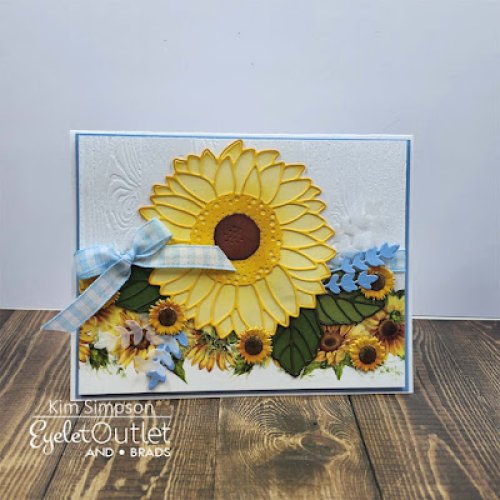 Photo post from Eyelet Outlet.