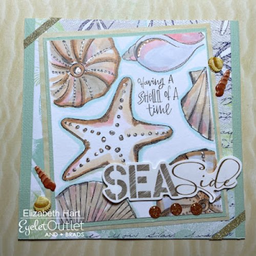 Photo post from Eyelet Outlet.