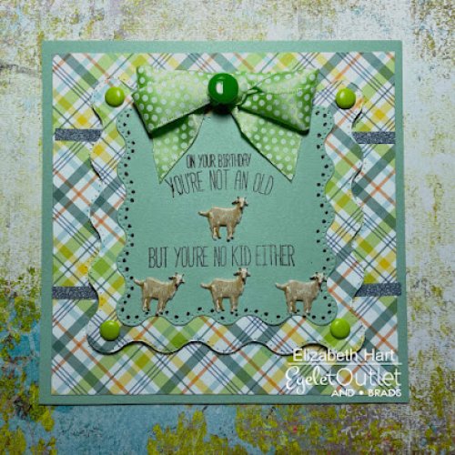 Photo post from Eyelet Outlet.