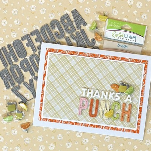 Photo post from Eyelet Outlet.