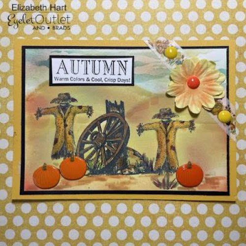 Photo post from Eyelet Outlet.