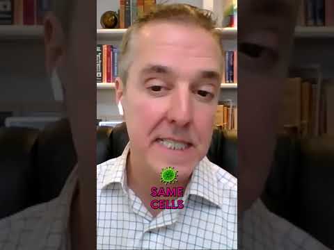 Video post from Dr. Stephanie Estima.