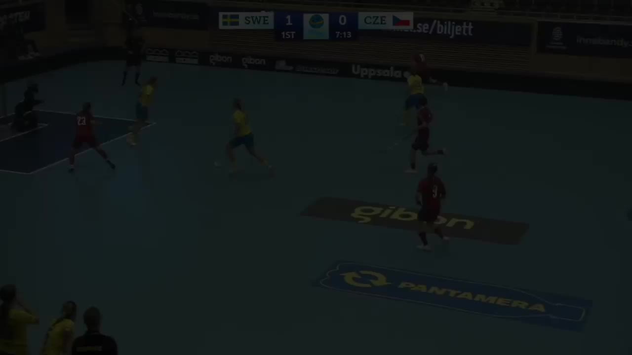 Video post from Český florbal.