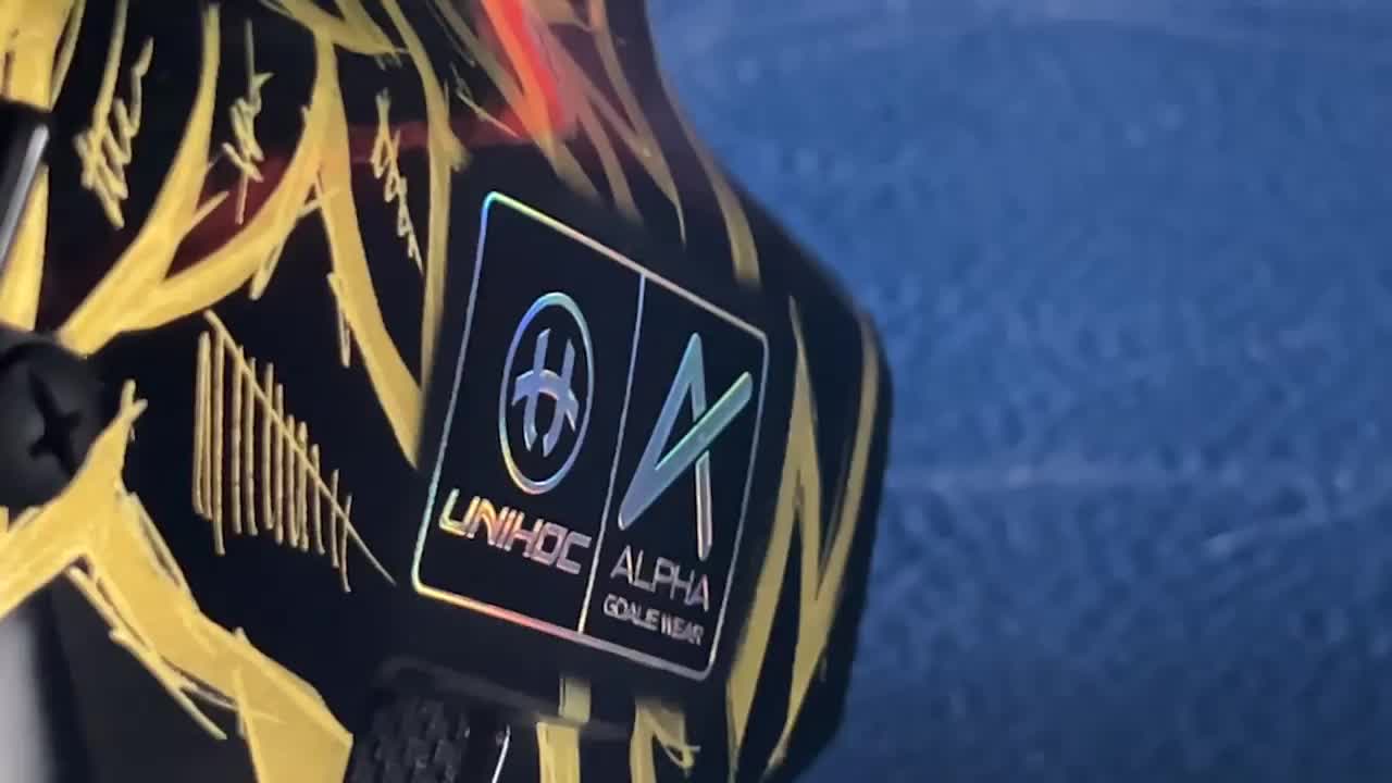 Video post from Český florbal.