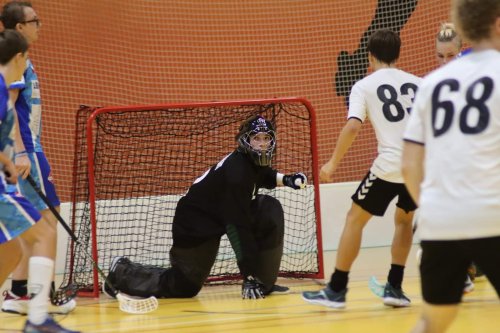 Photo post from Český florbal.