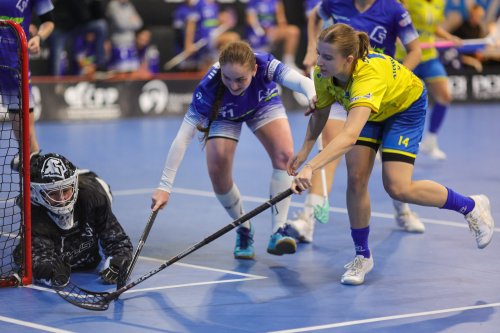 Photo post from Český florbal.