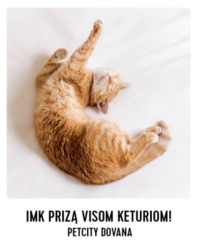 PostPhoto