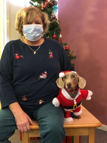 Carousel post from Appleby House.