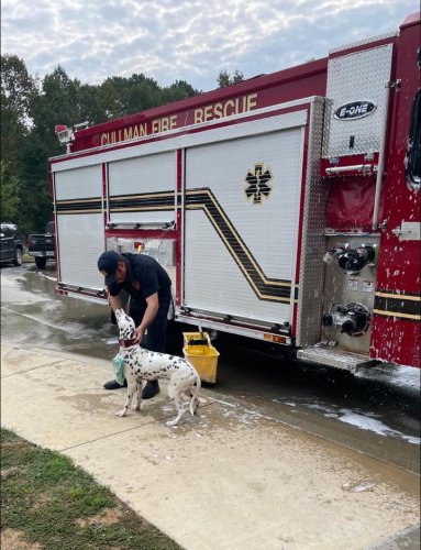 Photo post from Cullman Fire Rescue.