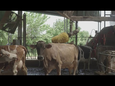 Video post from Latterie Vicentine Stabilimento produttivo.