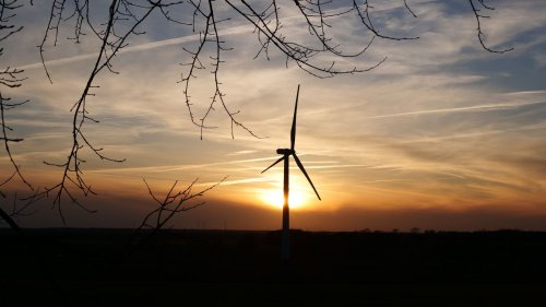 Photo post from Sustainable Newton.