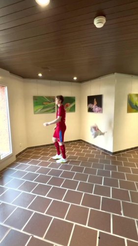 Video post from Českýflorbal.