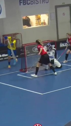 Video post from Českýflorbal.