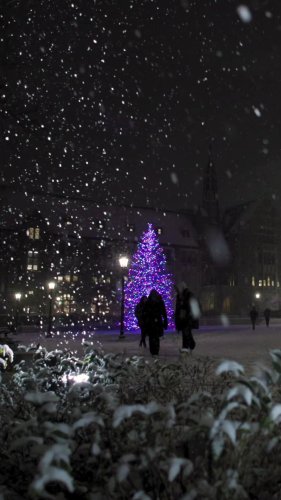 Video post from bostoncollege.