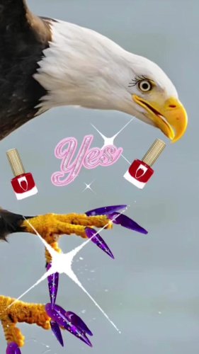 Video post from bostoncollege.