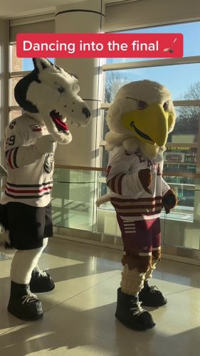 Video post from bostoncollege.