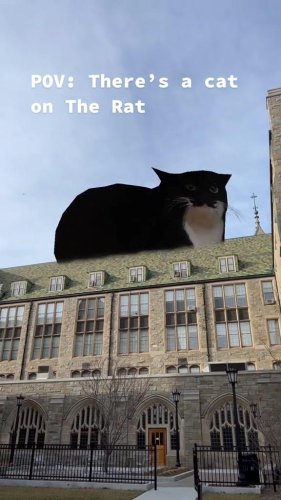Video post from bostoncollege.