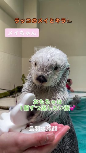 鳥羽水族館 公式サイト