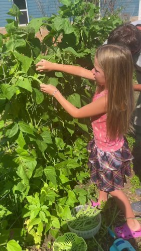 Mustard Greens: How to Grow and When to Plant in Your Backyard or Patio  Garden! – From Seed to Spoon Vegetable Garden Planner Mobile App