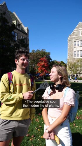 Video post from bostoncollege.