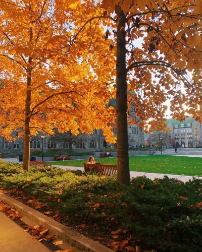 Video post from bostoncollege.