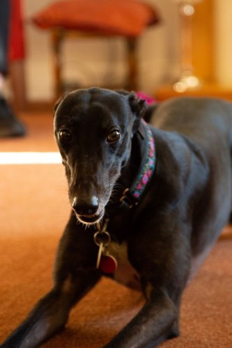 Photo post from Brook Court Care Home.