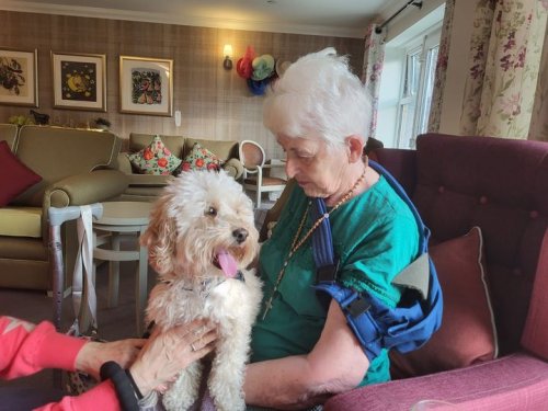 Carousel post from Sherwood Grange Care Home.