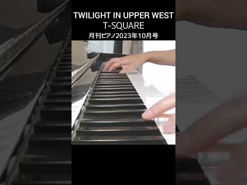 Video post from ちぃ。.