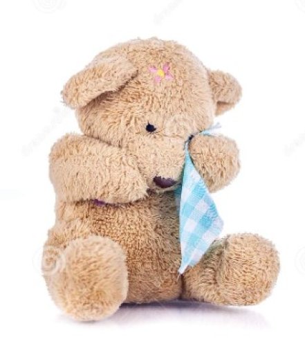 Photo post from Grassy Creek Elementary School.