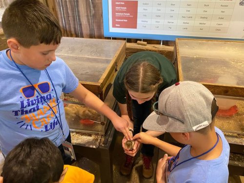 Carousel post from Grassy Creek Elementary School.