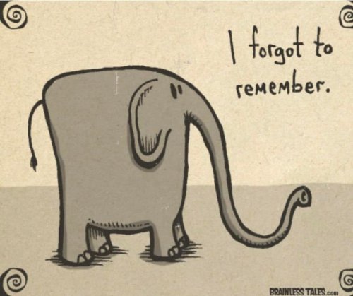 Photo post from Grassy Creek Elementary School.