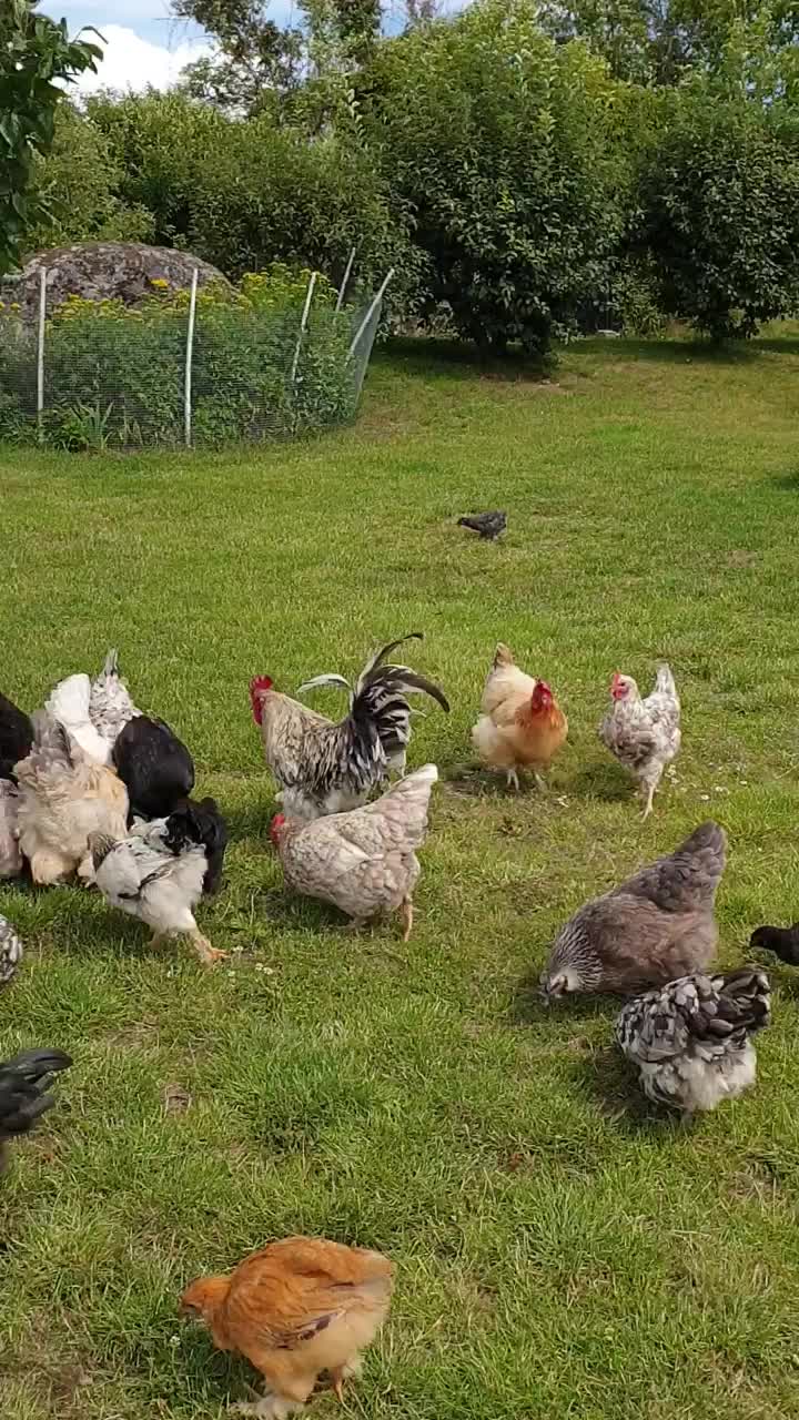 Video post from Tandläkare Katrin Onno.