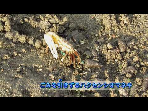 Video post from Youth Water Forum.